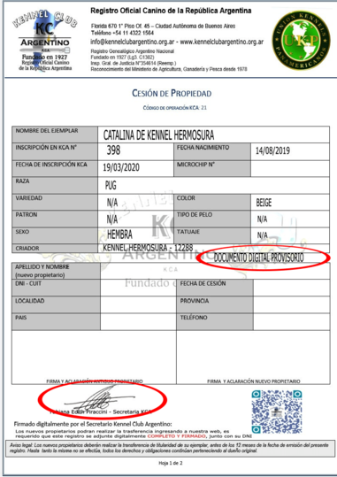 DOCUMENTO PDF PROVISORIO