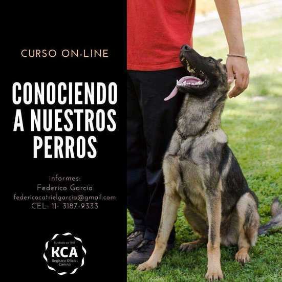 Curso “Conociendo a nuestros perros”