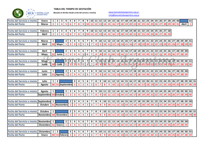 Calendario de Gestación en perras