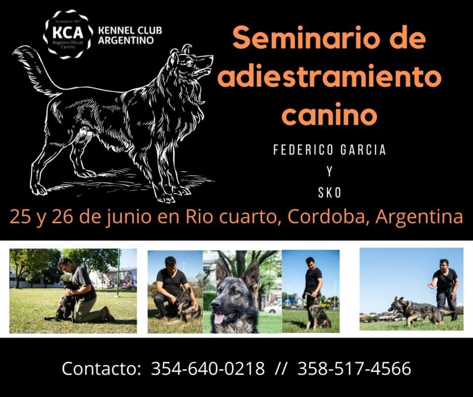seminario Rio IV