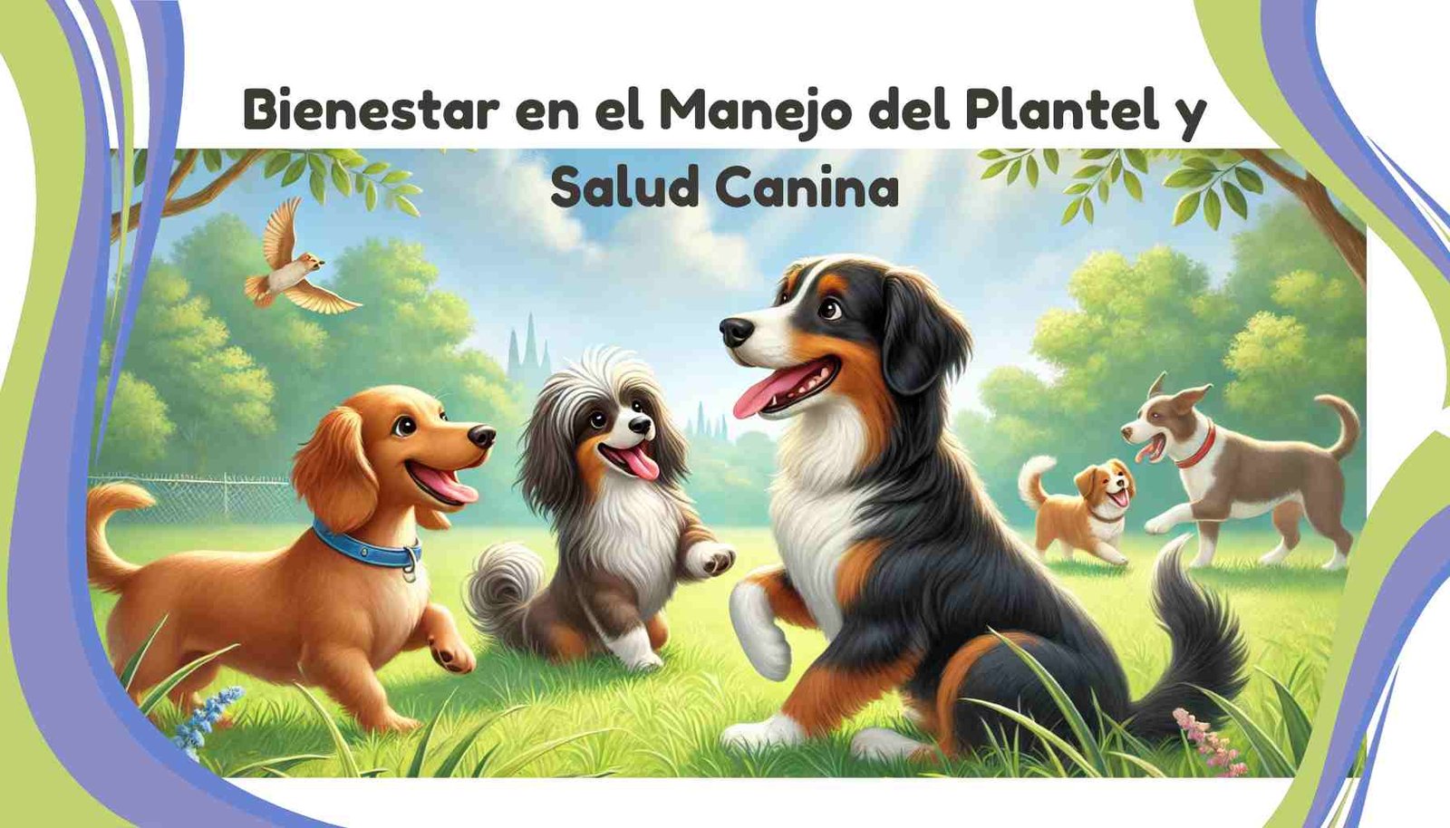 Manual de Bienestar en el Manejo del Plantel y Salud Canina