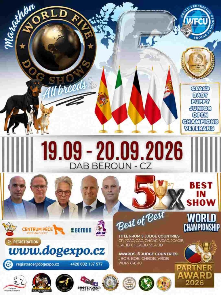 World Five Dog Shows Marathon 2026
