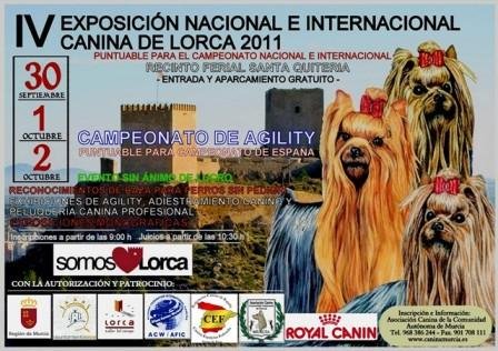 Imagen destacada del artículo «Gira por la Unión Europea»