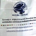 Imagen destacada del artículo «"Dogos 2012" Expo Patagonica»