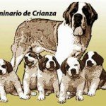 Imagen destacada del artículo «Seminario de Crianza»
