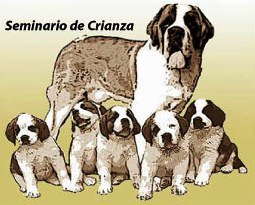 Imagen destacada del artículo «Seminario de Crianza»
