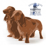 Imagen destacada del artículo «Estándar Dachshund Kaninchen (Teckel Kaninchen)»