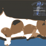 Imagen destacada del artículo «Estándar Estándar Dachshund Piebald Kaninchen (Teckel Piebald Kaninchen)»