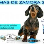Afiche de la Exposición Nacional e Internacional Lomas 2015