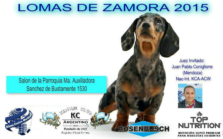 Afiche de la Exposición Nacional e Internacional Lomas 2015