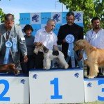 Podio de adultos en la Exposición Internacional de San Juan