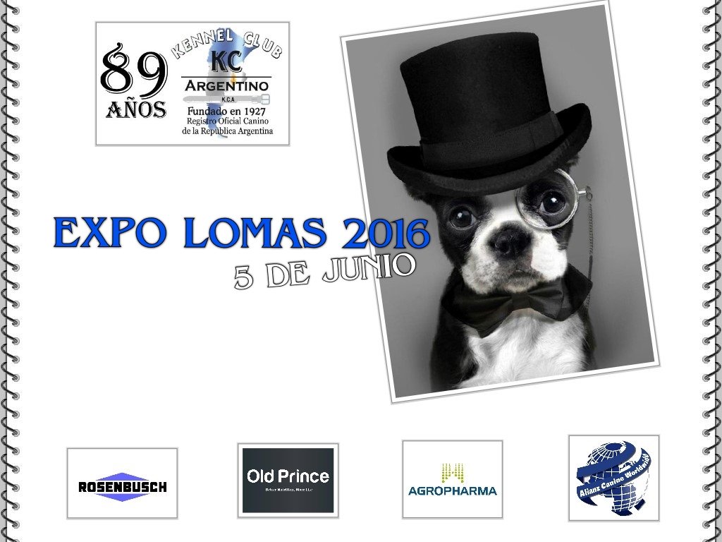 Afiche de la exposición Campeón Lomas 2016