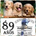 Cachorro junto al logotipo del Kennel Club Argentino