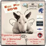 Afiche de la Exposición Pilar 2016