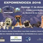 Afiche de la Exposición Internacional Mendoza