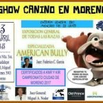 Exposición canina en la ciudad de Moreno