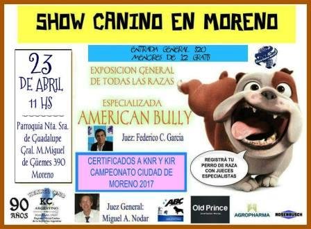 Exposición canina en la ciudad de Moreno