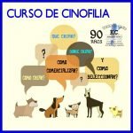 Curso de Cinofilia y Crianza Profesional