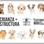 Fin de semana cinófilo en Mar del Plata