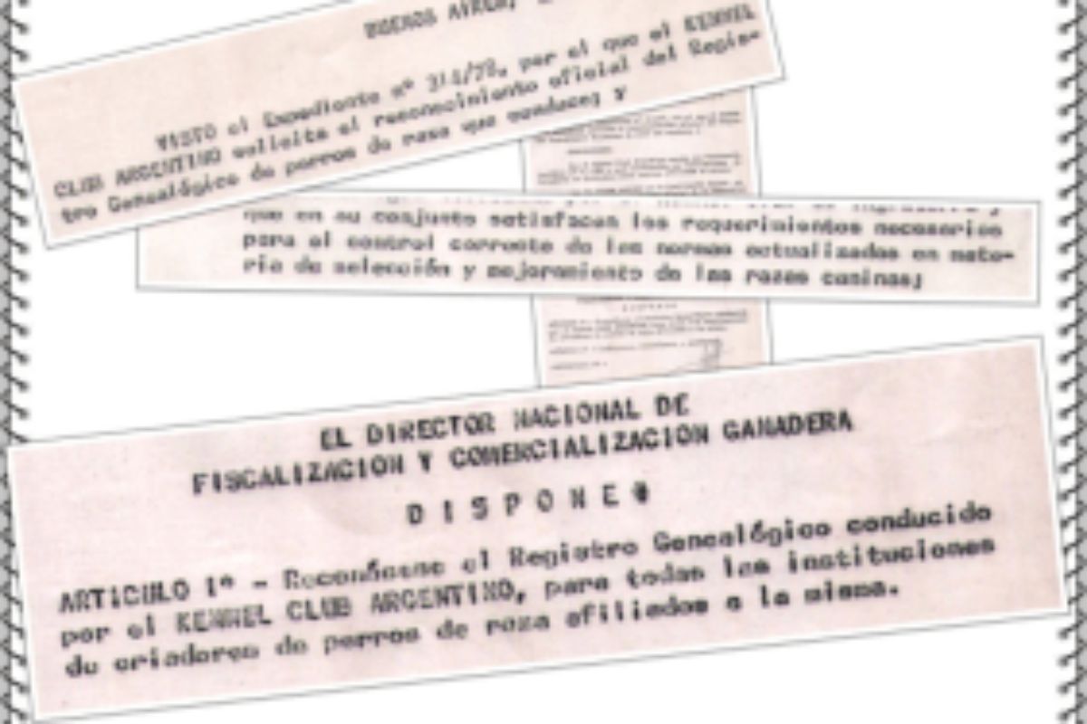 Documentación sobre el reconocimiento oficial del Kennel Club Argentino