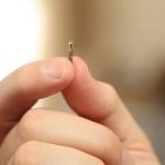 Microchip para identificación y registro canino