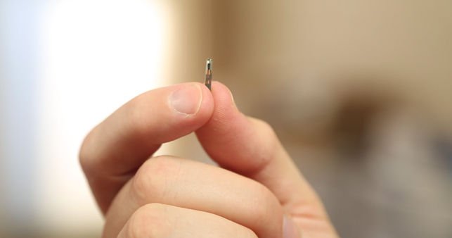 Microchip para identificación y registro canino