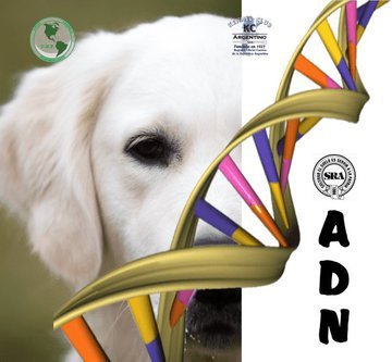 Análisis genéticos en caninos