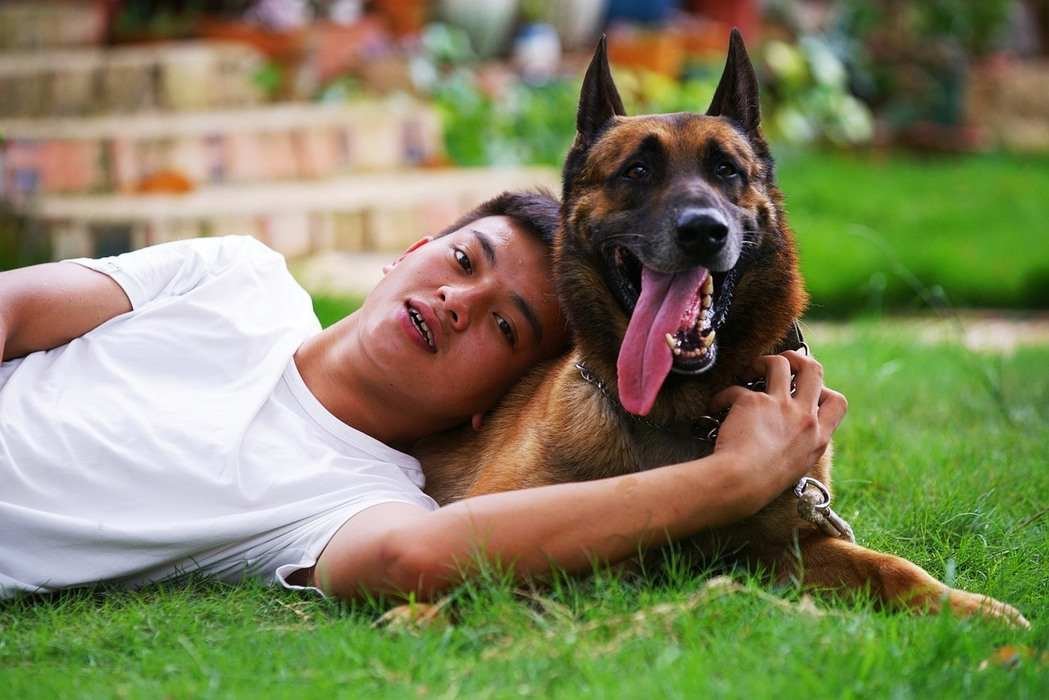 perros de terapia / Kennel CLub Argentino
