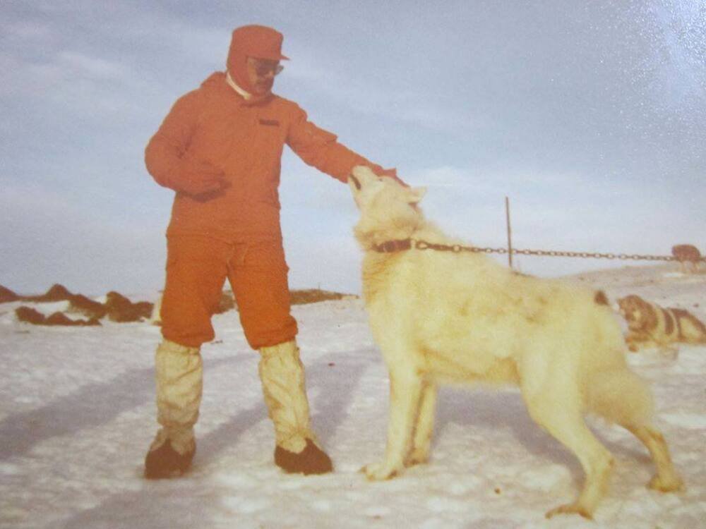 Perro Polar Argentino / Kennel Club Argentino