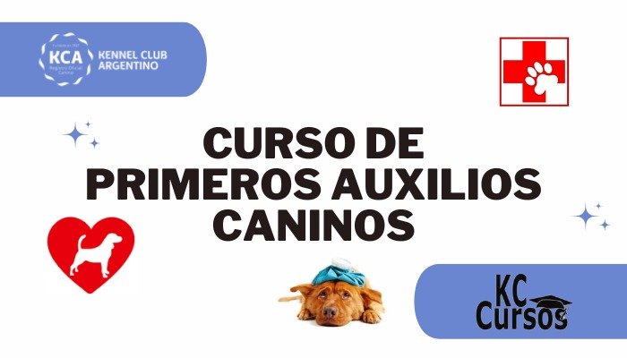 Primeros Auxilios Caninos