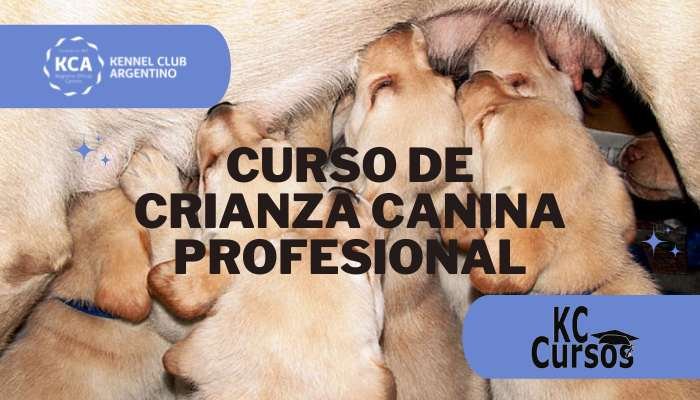 cursos crianza canina profesional