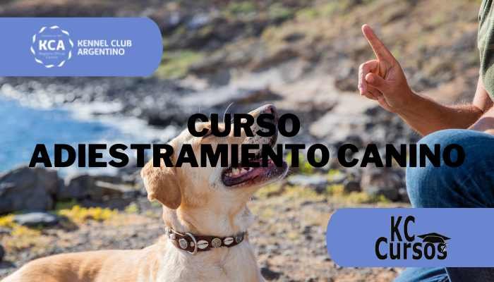 Portada Cursos Adiestramiento Canino