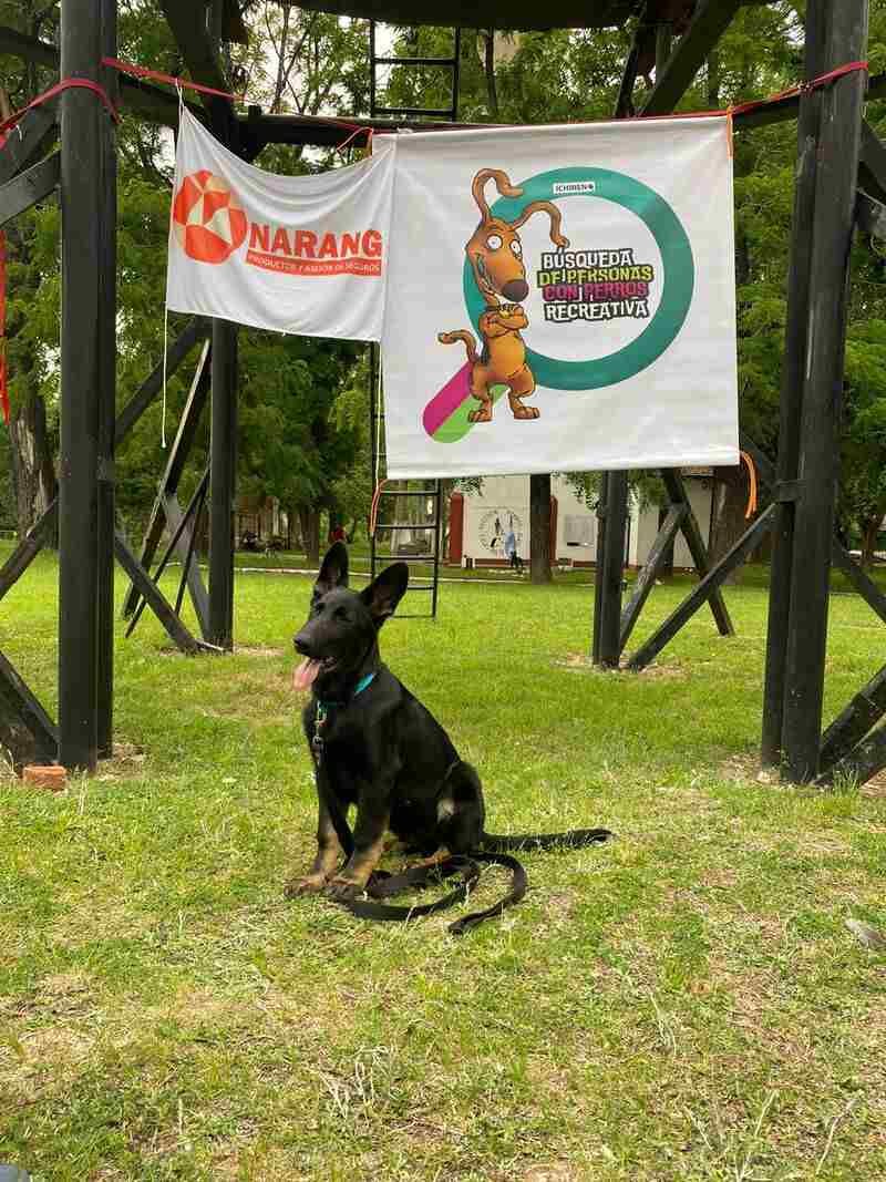 Búsqueda de Personas: Un Juego que Une Perros y Tutores / Kennel Club Argentino