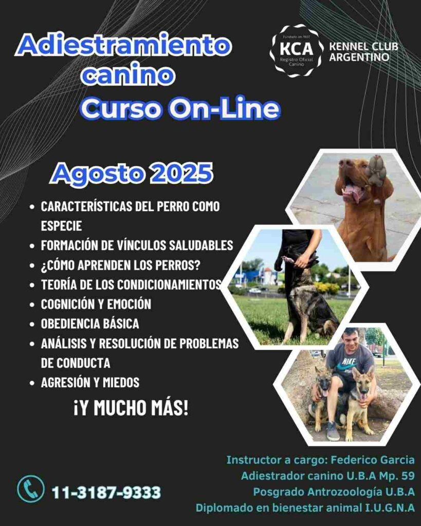 Curso de Adiestramiento Canino del Kennel Club Argentino