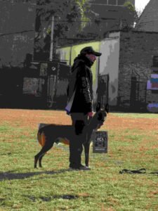 Guía con su perro durante una prueba del Campeonato Oficial Argentino de Adiestramiento 2026