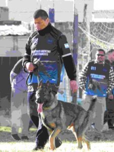Guía y perro participando en el Campeonato Oficial Argentino de Adiestramiento 2026