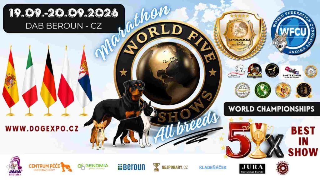 World Five Dog Shows Marathon 2026 de la WFCU